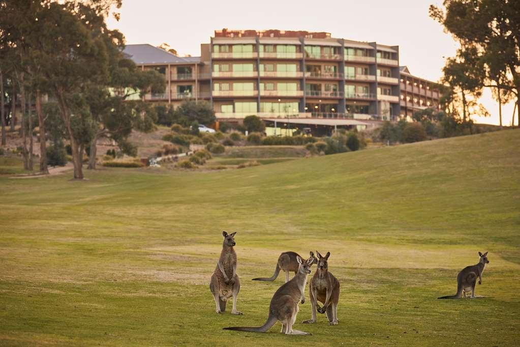 Racv Goldfields Resort Кресвик Удобства фото